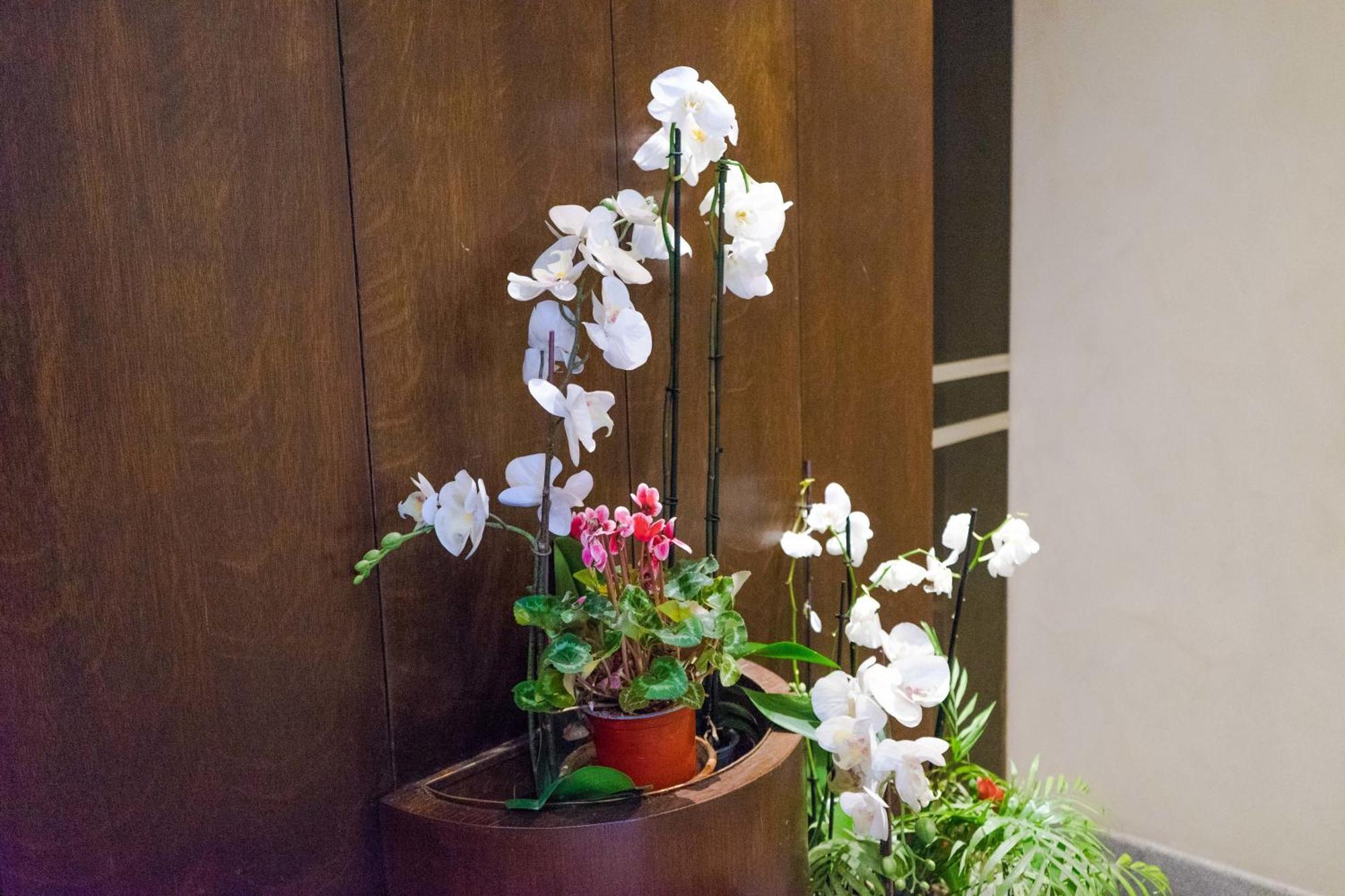 Disciplini Apartment A 5 Min Dal Duomo Mediolan Zewnętrze zdjęcie